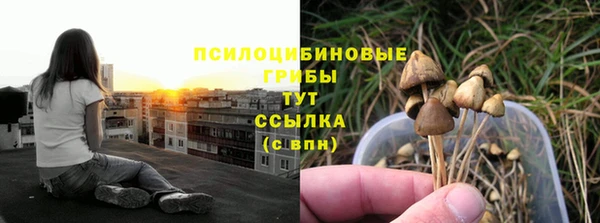гидра Березники