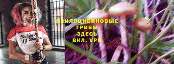 молекула духа Долгопрудный