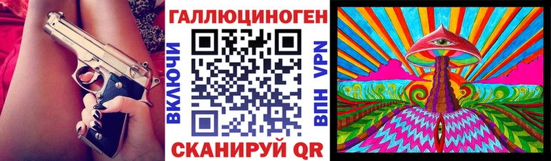 где можно купить   Змеиногорск  Галлюциногенные грибы Magic Shrooms 